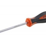 Skrutkovač Torx T10 S2