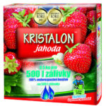 Jahoda 0,5kg